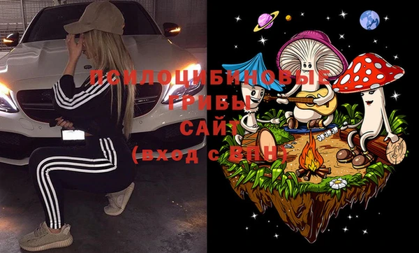 прущие крисы Алексин