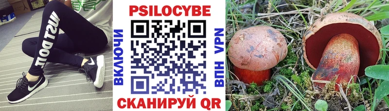 Галлюциногенные грибы мухоморы  Йошкар-Ола 